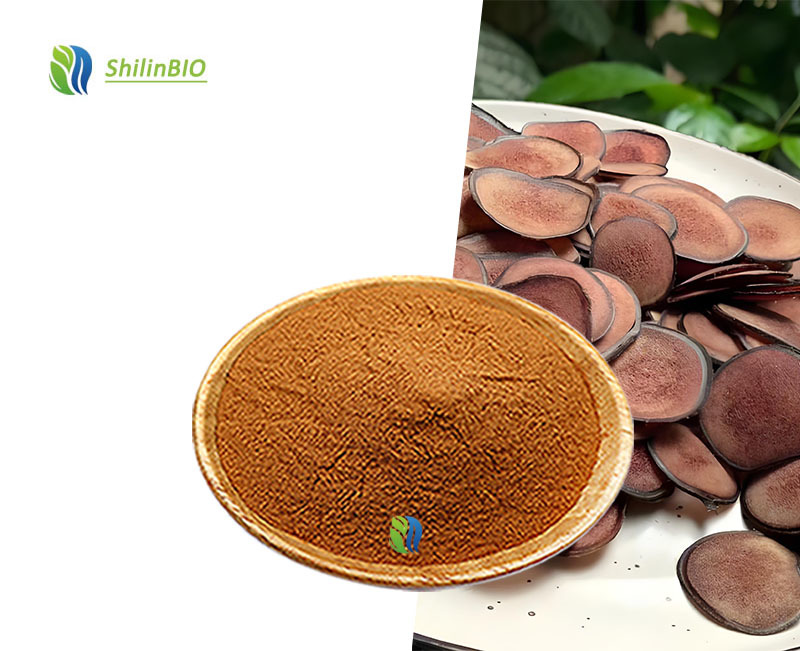 SLBIO Food Grade Deer Antler Herbal Extract 10:120:1 Water Soluble Deer Antler Powder