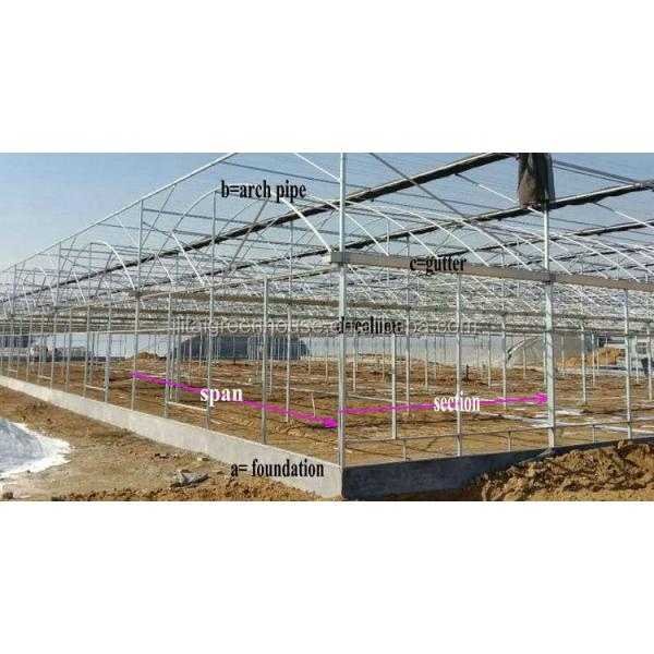 Настраиваемый размер покрытый пленкой птицефабрика теплица длина 30-100 м с пленкой