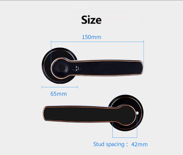 CE Smart Handle Lock