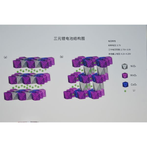 Premium Cylindrical Lithium Battery Metal Dissection Training Platform for Automotive Education Learning