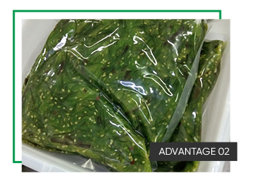 Shandong Frozen Seaweed Slices for Sweet and Sour Salad Seasoning 1 Year Shelf Life
