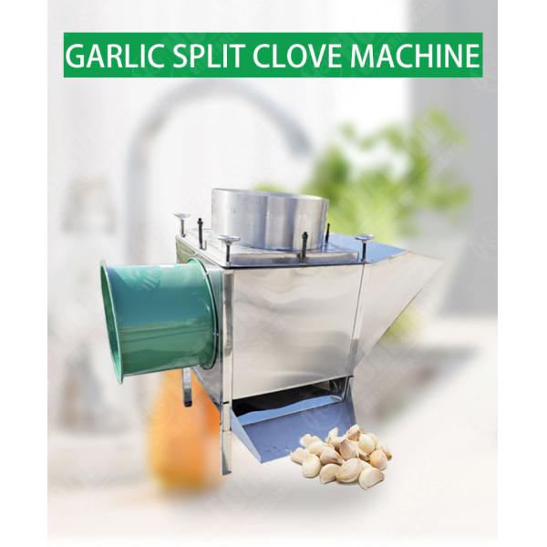 large capacity Garlic splitting machine garlic cloves separator garlic separate bulb breaker machine
