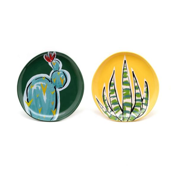 8.8 дюймовые кактусовые растения керамическая салата тарелка обеденная тарелка весной летом