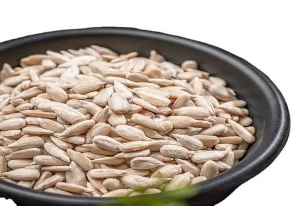 Produtores chineses grátis de sementes de girassol de qualidade de confeitaria para lanche