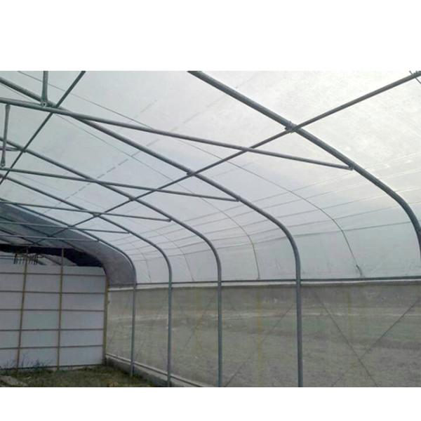 275gsm Zinc Coated Steel Pipe Greenhouse With Agricultural Plastic Film