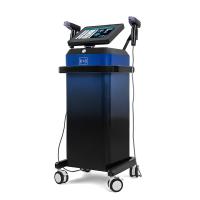 2 en 1 machine de beauté RF à micro-aiguille fractionnée avec écran de 10,4 pouces