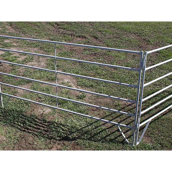 Horse and Sheep Yard Panels for Sale 1.8m x 2.1m 6 Horizontal Rails Oval tube 115x42mm