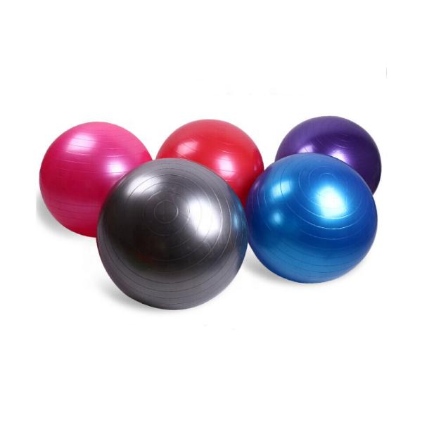 Anti Slip 600mm Half Anti Burst Yoga Ball Stability Trainer OEM