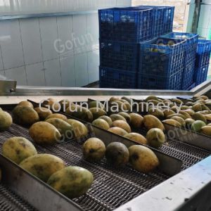 Mango Processing Line with Retains Fresh Fruit Flavor Low-Temperature Vacuum Concentration and Oversea Technical Support