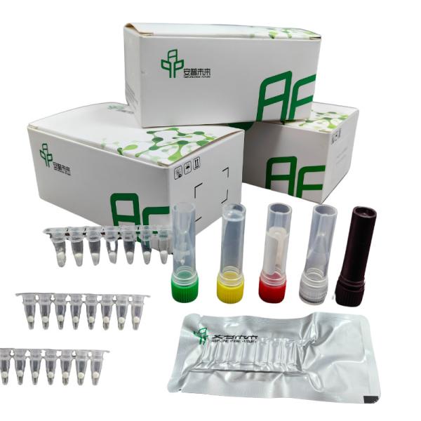 14 Month Storage Hemolytic Streptococcus Pathogen Detection Kit EXO For Room Temperature Detection