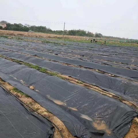 Pp Woven Ground Cover Membrane Anti Grass Weed Control Cloth