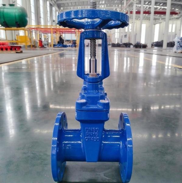 DN300 Rising Resilient Seated Gate Valve GGG50 Ductile Iron Valves