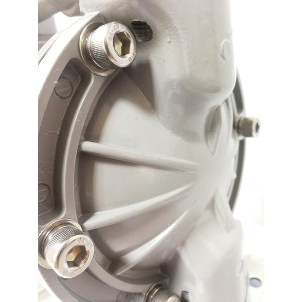 G1/2 QDM-901 26L Per Minute Double Diaphragm Pump