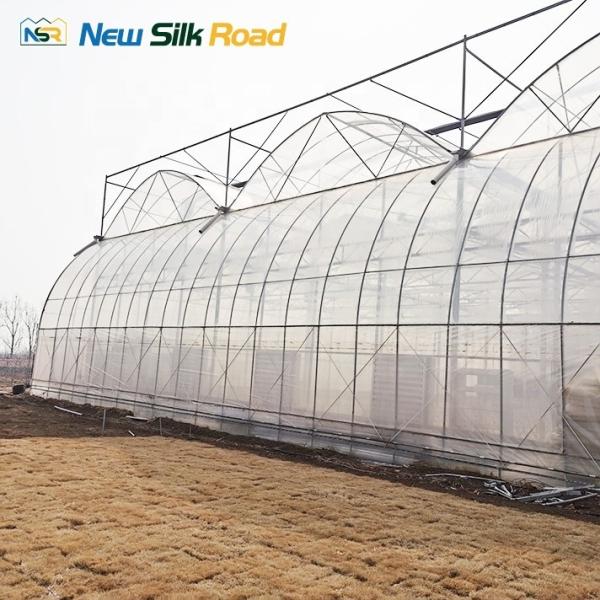 Uzbekistan Market Hot Dip Galvanized Plastic Vegetable Greenhouse with Quick Assembly