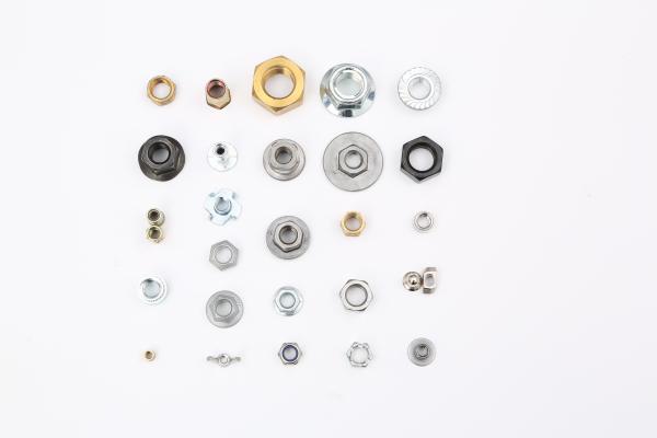 Cold Heading Customized Stainless Steel Nut Metric Systems DIN ISO Standard
