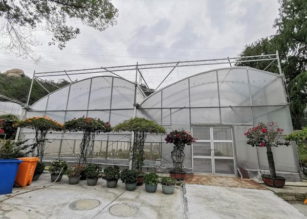 Single Layer PE Ground Cover for IGreen Greenhouse's Steam-Greenhouse Roofing Material