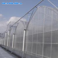Large Size Multi Span Greenhouse / Commercial Pe Film Greenhouse Sheet Cover