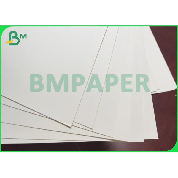 Funcionamiento que moldea excelente cubierto con el papel de un sólo lado de la taza de la película del PE