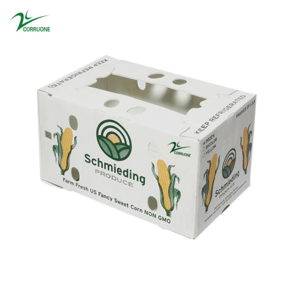 Correx Vegetable Corrugated Boxes Agriculture Hollow Board Box