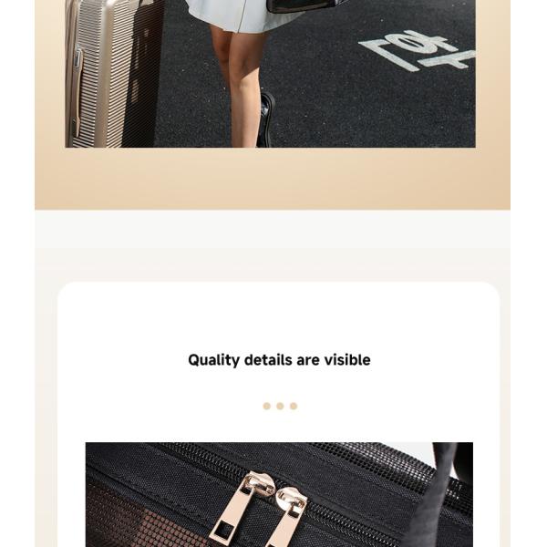 Sacs de voyage pour animaux de compagnie Portable en nylon Portable de luxe Porteur pour chiens de compagnie Ventilation extérieure