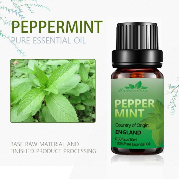 COA natural puro do USDA da aromaterapia do óleo da massagem do óleo de pastilha de hortelã de 100ml 100%