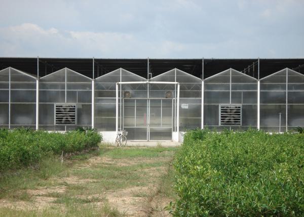 Easy Assembly Strong Structure PC Greenhouse With 8-10 Thick PC Panels - Great For Gardening