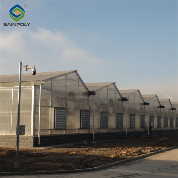 Strong Metal Frame Greenhouse Automatic Systems  Solar Energy Green House