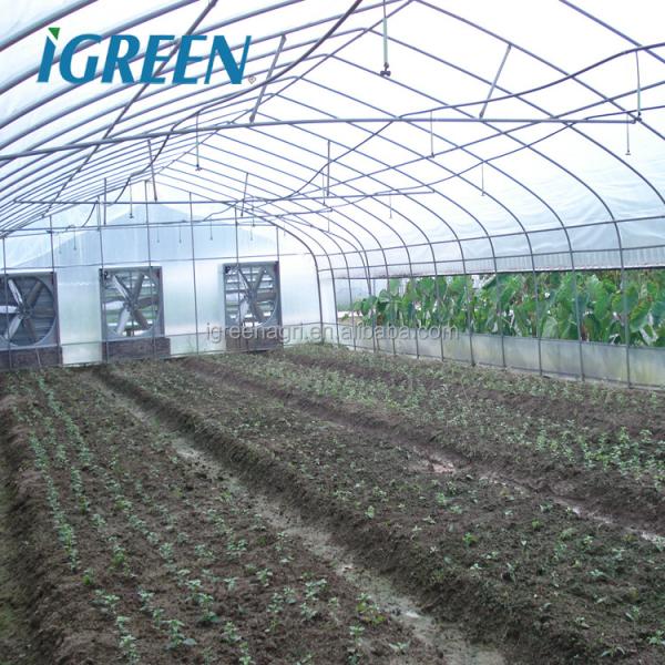 Large IGreen Agricultural Greenhouses Materials Shade Cloth Greenhouse with No Roof Vent