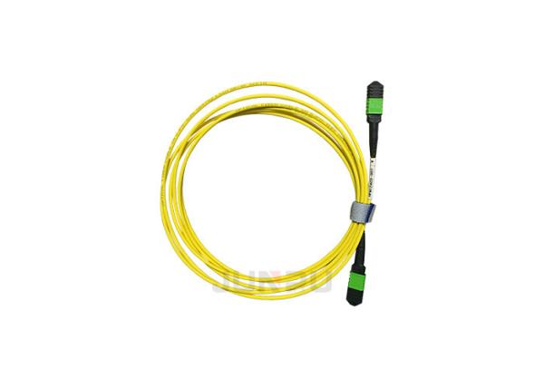 FC LC SC G652D G657A Single Mode Fiber Patch Cord OM3 MM 12 24 Core