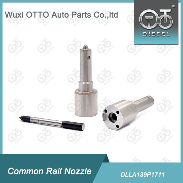 Diesel Fuel Injector Nozzle DLLA 139P 1711 / Dlla139P1711 OEM 0 433 172 048
