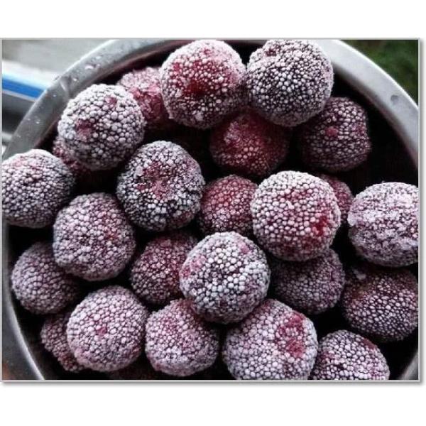 304 Stainless Steel Belt IQF Tunnel Food Freezing Machine