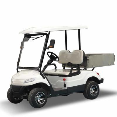 Carrinho de golfe personalizado de 2 lugares carro elétrico movido a lítio com certificado CE