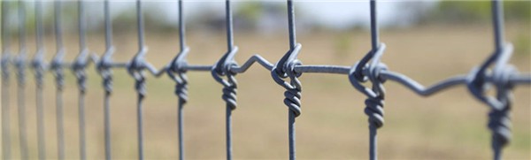 Sheep wire fence for sale
