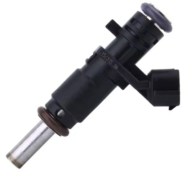 SQCS High quality Fuel injector OEM 166008992R   for Renault