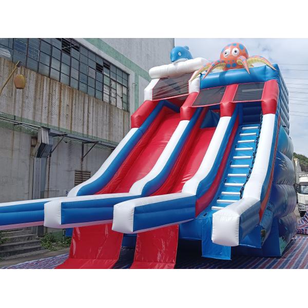 Commercial Outdoor Géant gonflable toboggan à eau Delfine Poulpe dessin animé gonflable double toboggan pour enfants et adultes