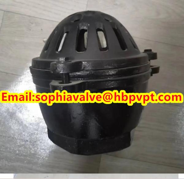 BRITISH STANDARD BS21 cast iron threaded foot valve contact Sophie