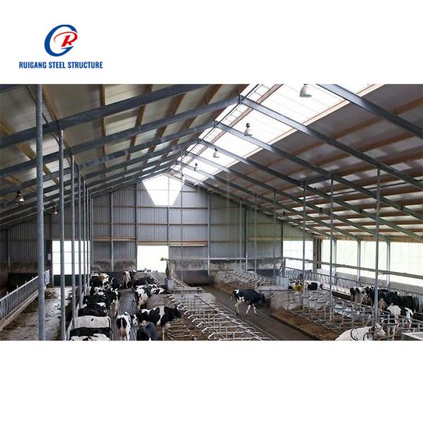 Livestock Shelter Dairy Farm Shed Prefabricated Sheep Goat Farming Sheds Design Goat House Farm Sheds for Live Cattle