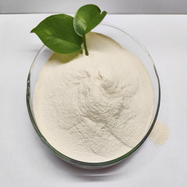 Animal Feed Additives Chelation Active Magnesium Mg for the Growth and Shelling of Shrimp and Crabs