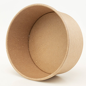 Bacias de salada de papel recicláveis afastadas descartáveis a favor do meio ambiente