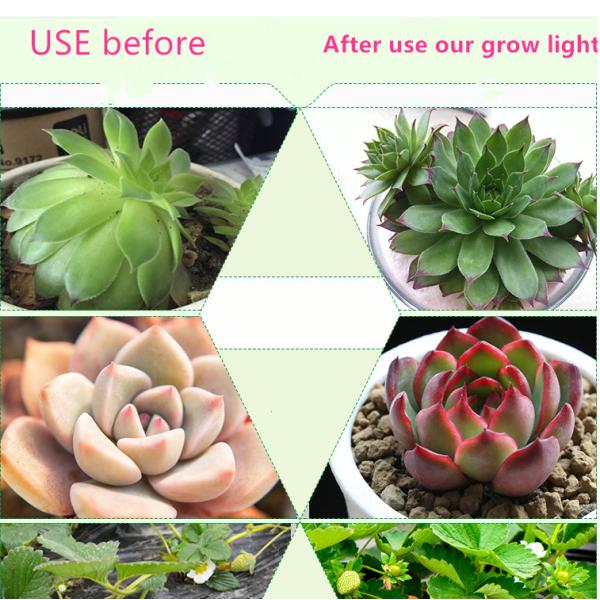 Full Spectrum LED Plant Grow Lights Waterproof IP65 T8 LED Tube Light