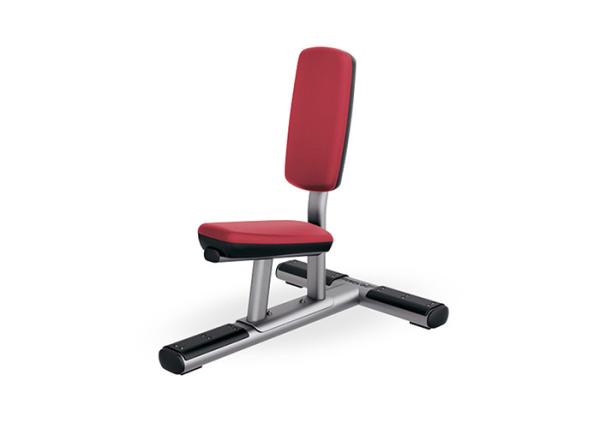 Indoor Commercial Gym Rack And Bench , Utility Bench Pro Fitness Equipment
