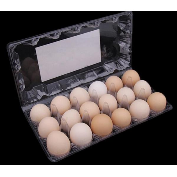 коробок пищевого контейнера клетки пластмассы 2 Индонезии коробки для завтрака 400мл коробка для завтрака Микроваре здоровых японская с палочками пакует