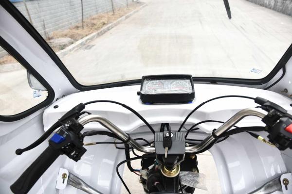 50*100 Chassis Tricycle Cargo Tanker for Farm and Cargo Transportation in South Africa