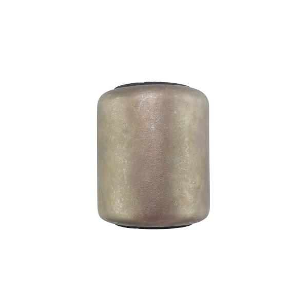 0203159800 21MP Leaf Spring Eye que Cobre HB75-80 para BPW