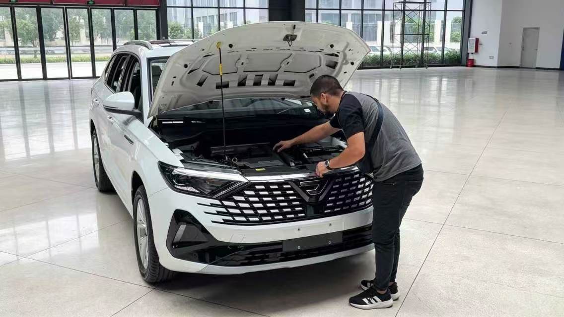 Hubei Xinjunka Automobile Service Co., Ltd