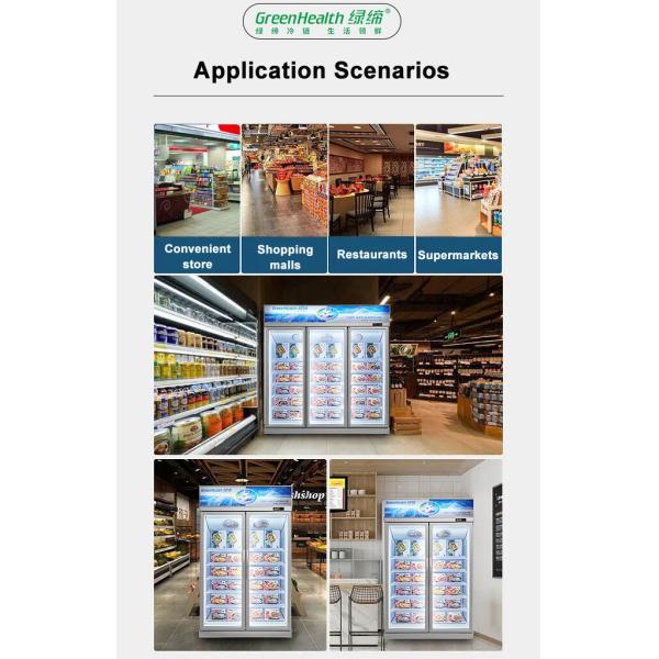 Автомобиль размораживает замораживатель дисплея коммерчески двойной двери чистосердечный для мяса