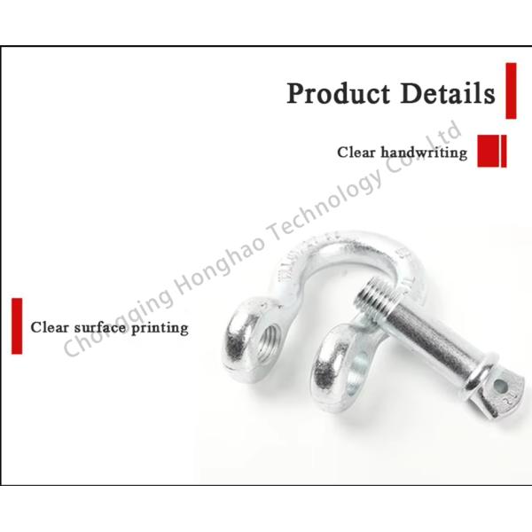 Electrolytic Treatment Finish Dee Shackles for Trailer Security and Marine Rigging