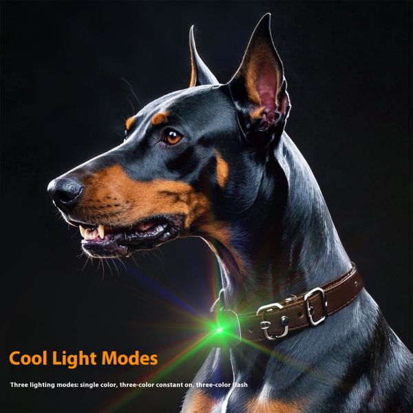 2025 Mini Interactive Remote Control Rechargeable E-Collar Dog Training IP67 Waterproof Plastic No Shock Vibration Reminders for