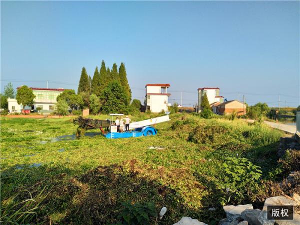 2000m2 1m Automatic Aquatic Weed Harvester Cutting Machine River Cleaning Boat