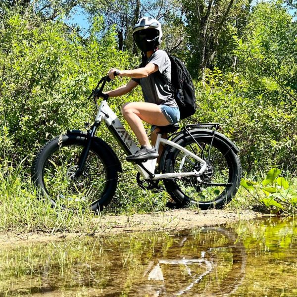 Factory Price F622 26 Inch Off Road Motor 750W Fat Tire Ebike 7 Speed Hydraulic Disc Brake Fat Mountain Bike
